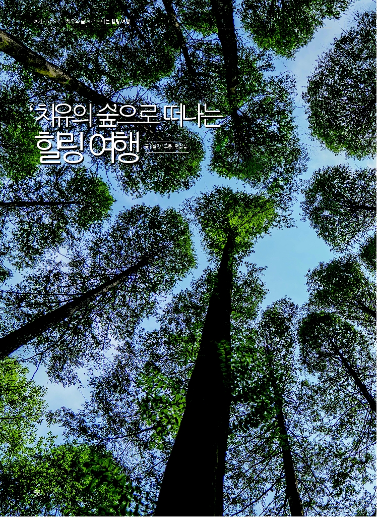 08.월간교통 2025.06_여기Travel.pdf_thumb